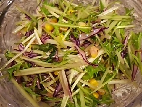 紫キャベツと水菜の黒酢玉ねぎサラダ
